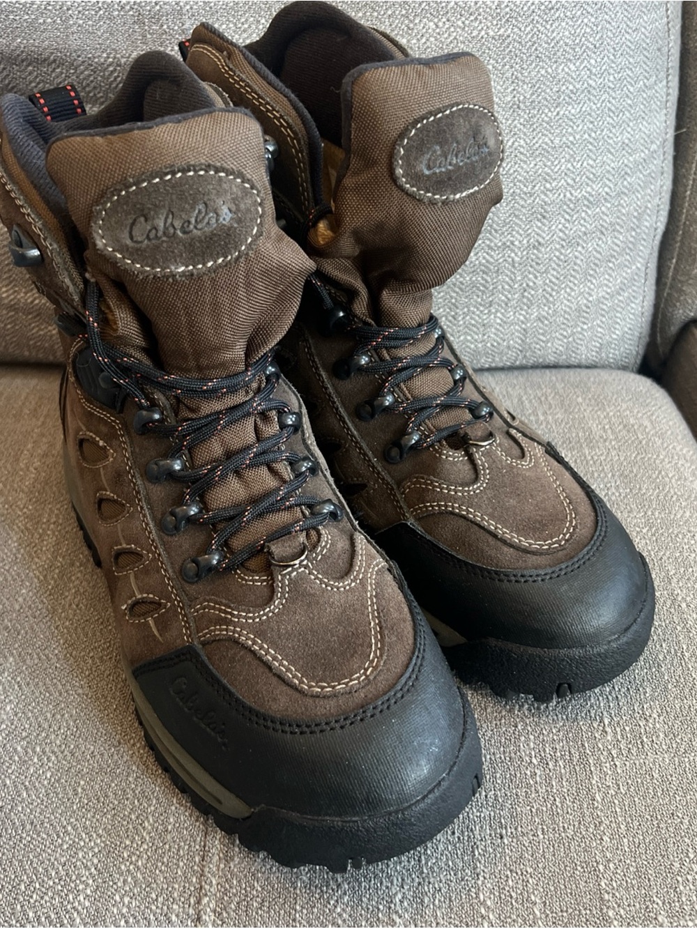 Cabelas Mens 10.5 D Dry Plus Waterproof Thinsulate Hiking Hunting Boots Preowned
